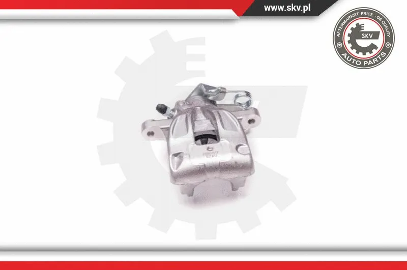 Brake Caliper (23SKV317)