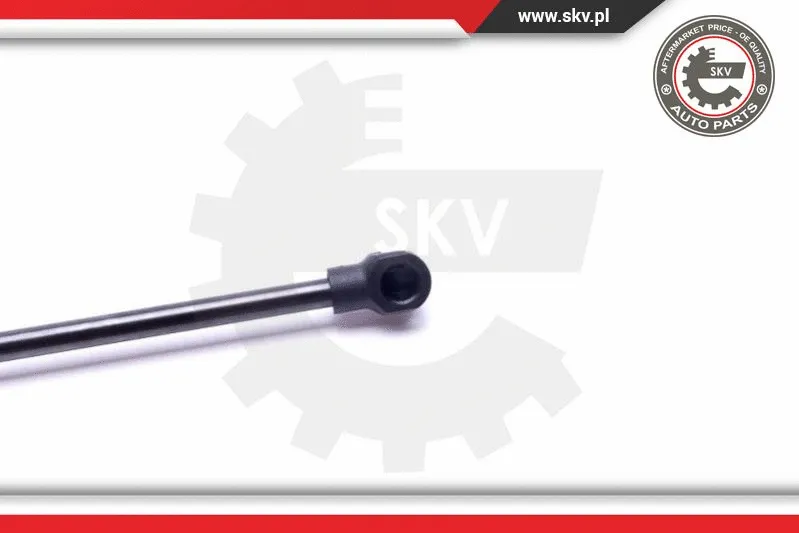 Gas Spring, boot/cargo area