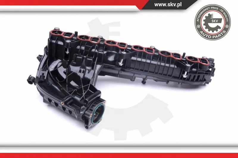 Intake Manifold Module