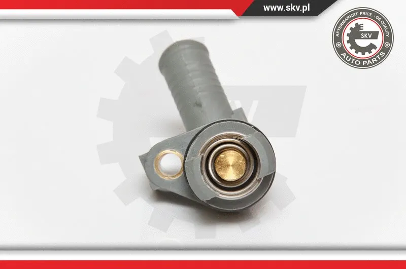 Thermostat, coolant