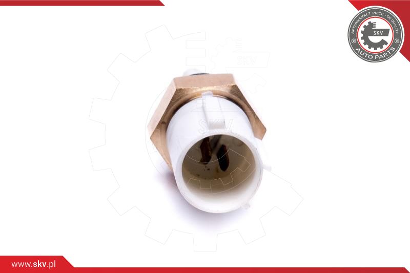 Sensor, intake air temperature