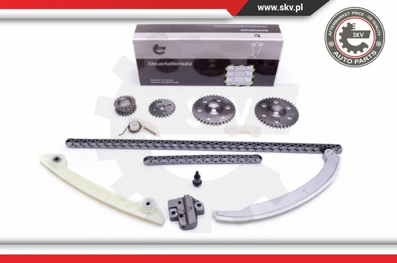 Timing Chain Kit (21SKV231)