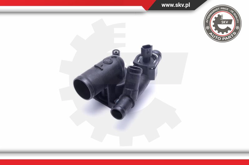 Thermostat, coolant