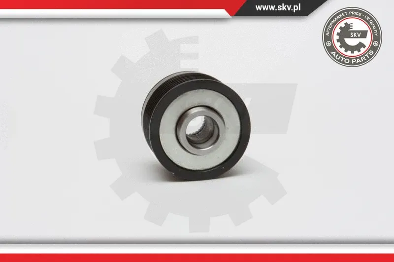 Alternator Freewheel Clutch