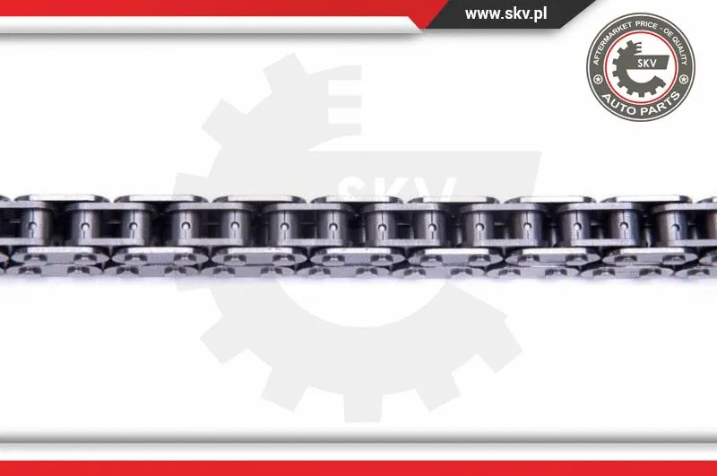 Timing Chain Kit