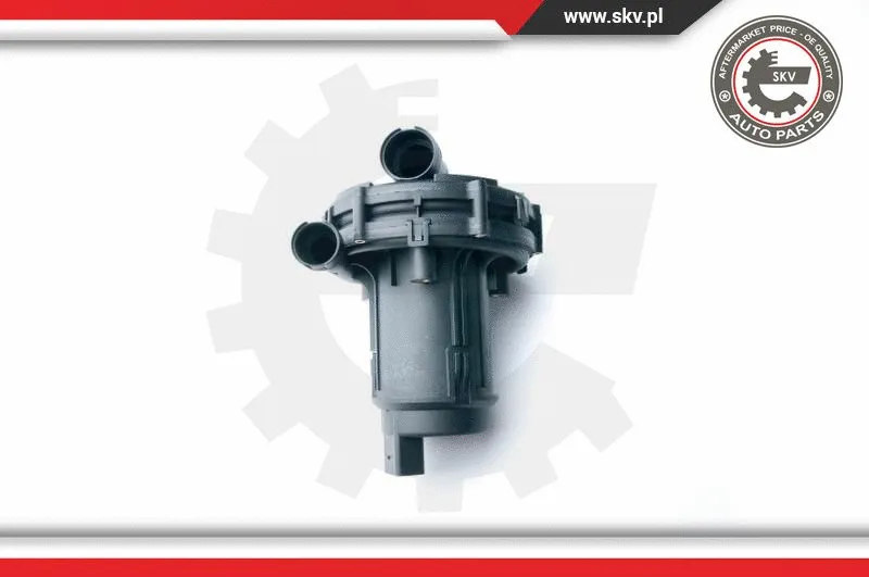 Secondary Air Pump