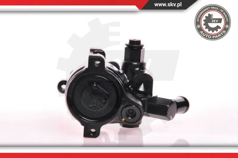 Hydraulic Pump, steering (10SKV179)
