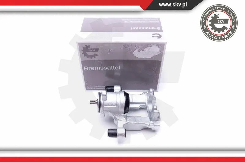 Brake Caliper (44SKV424)