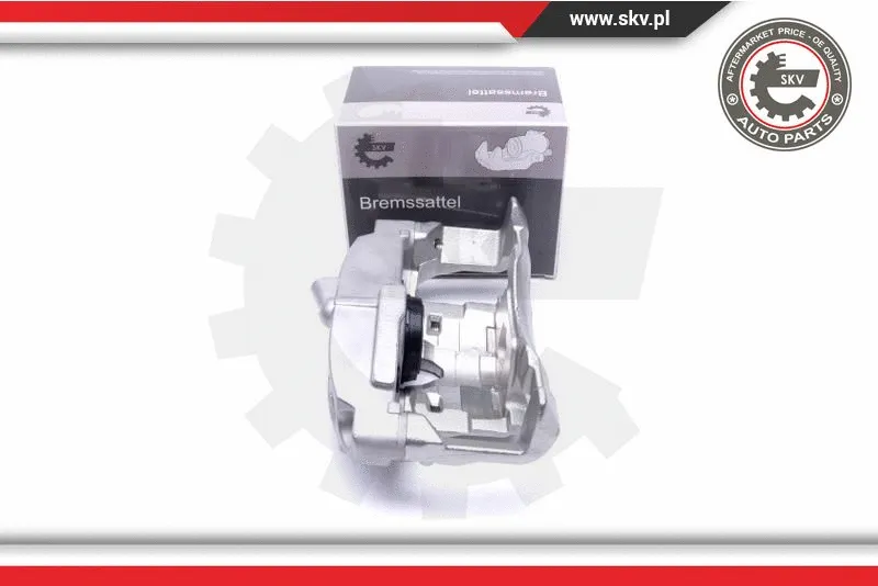 Brake Caliper (55SKV782)