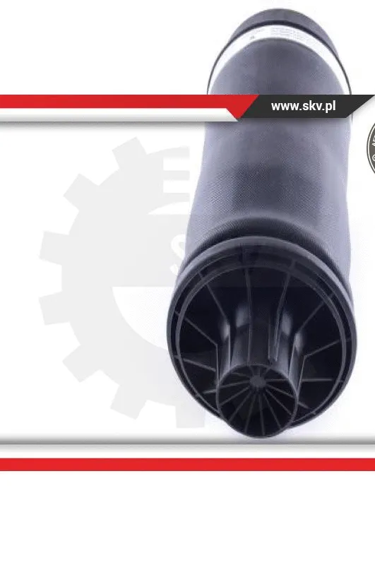 Air Spring, suspension