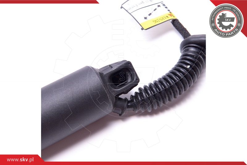 Electric Motor, tailgate