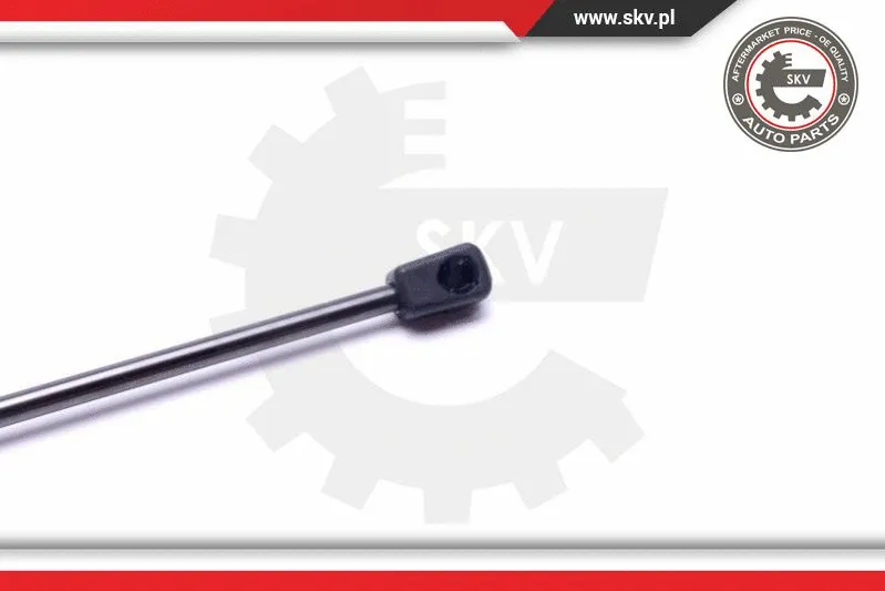 Gas Spring, boot/cargo area