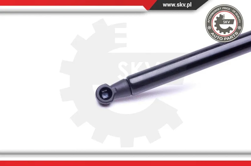Gas Spring, boot/cargo area