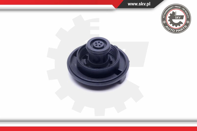 Cap, coolant tank