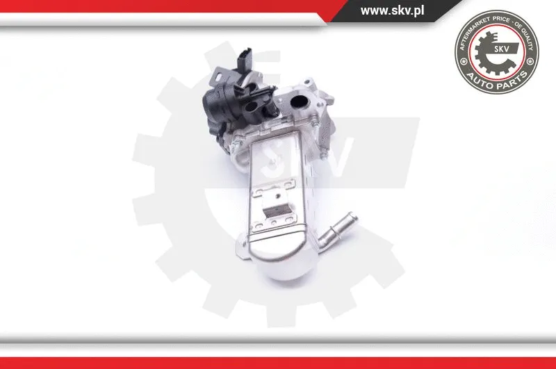 EGR Valve