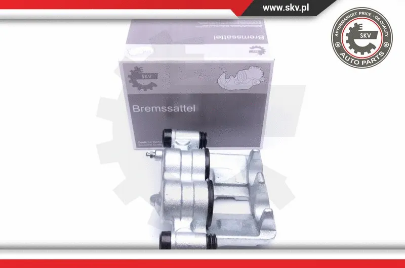 Brake Caliper (42SKV872)