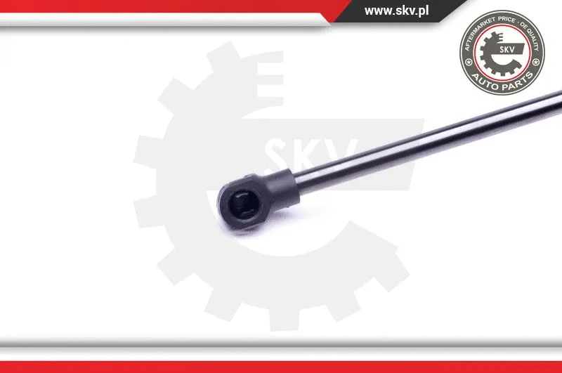 Gas Spring, boot/cargo area