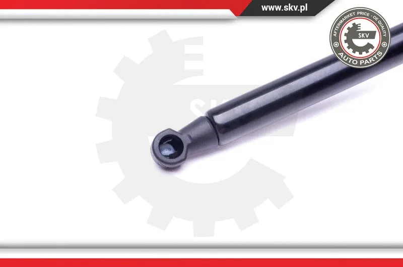 Gas Spring, boot/cargo area