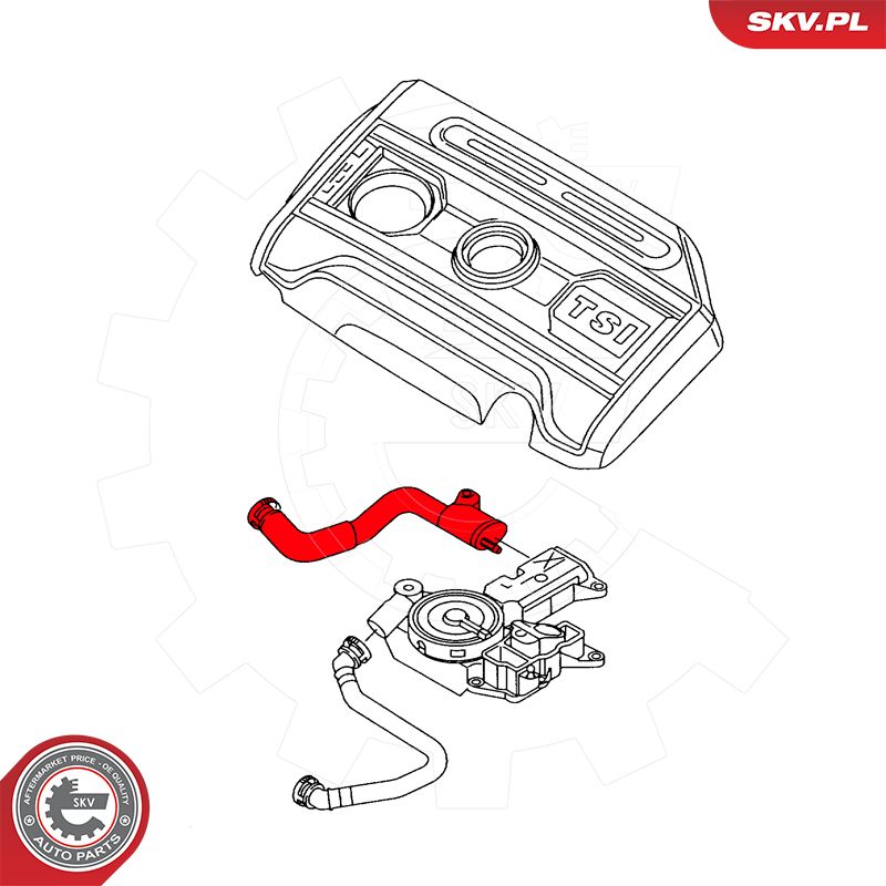 Hose, crankcase ventilation