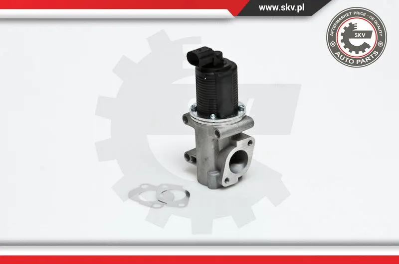 EGR Valve