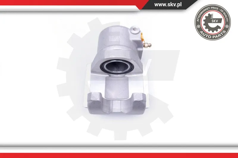 Brake Caliper (42SKV661)