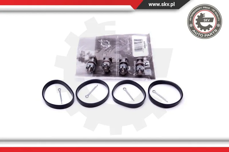Repair Kit, intake manifold module (49SKV518)