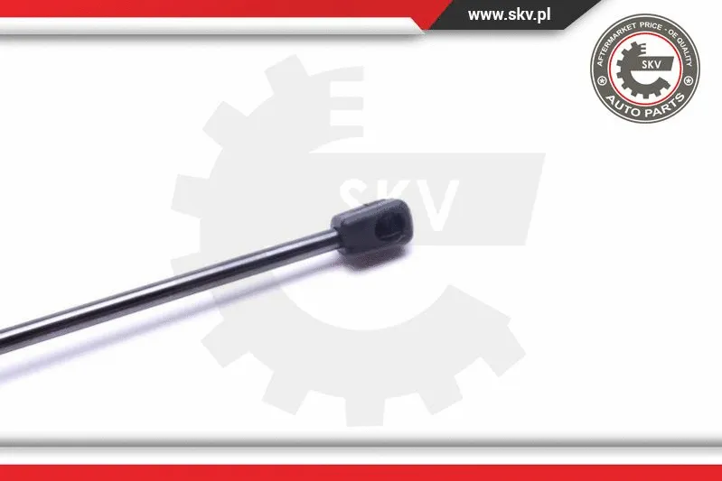 Gas Spring, boot/cargo area