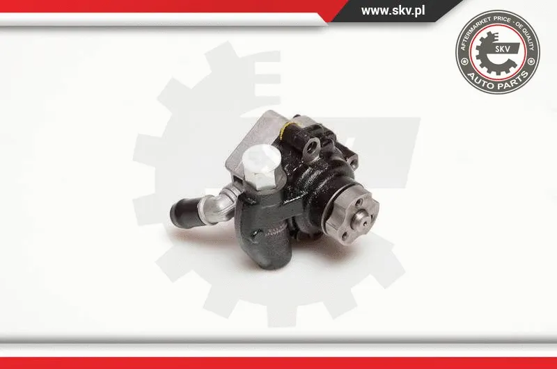 Hydraulic Pump, steering (10SKV116)