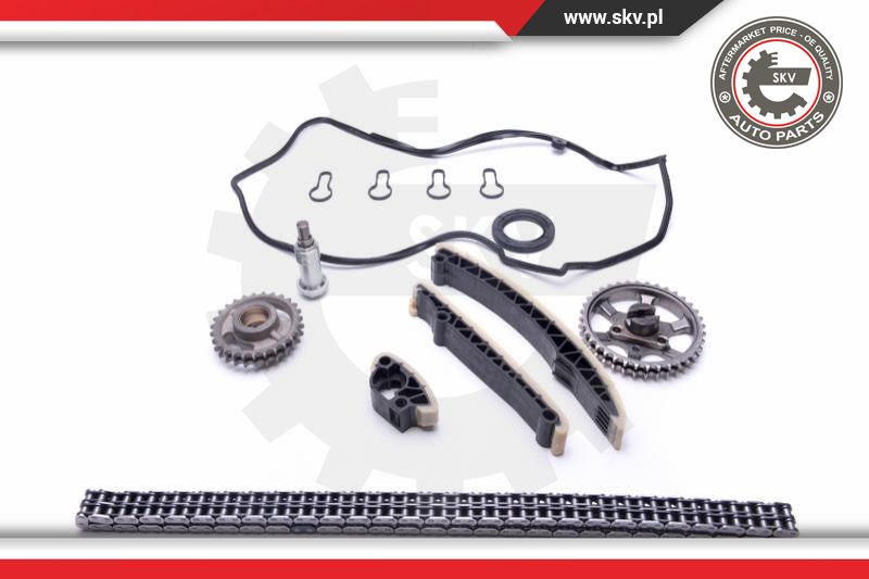 Timing Chain Kit