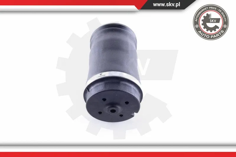 Air Spring, suspension