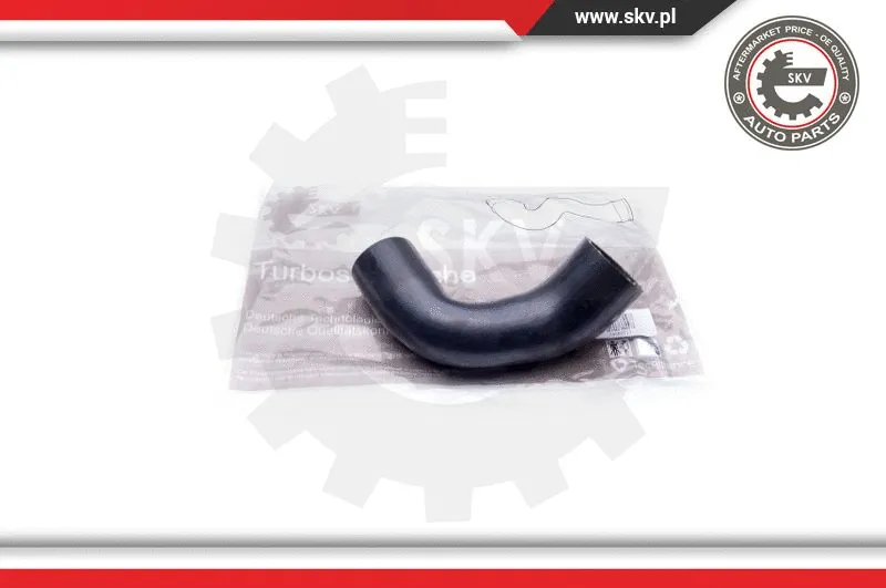 Charge Air Hose (24SKV717)