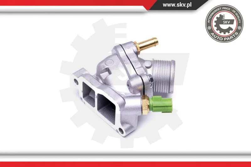 Thermostat, coolant