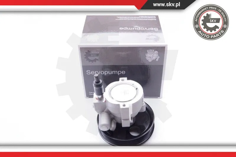 Hydraulic Pump, steering (10SKV207)