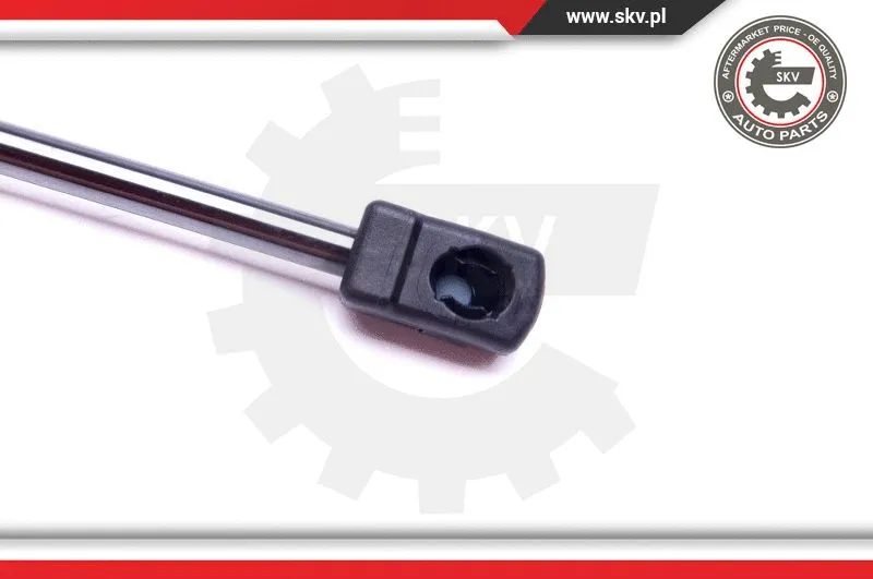 Gas Spring, boot/cargo area