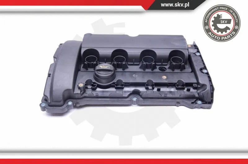 Cylinder Head Cover (48SKV009)