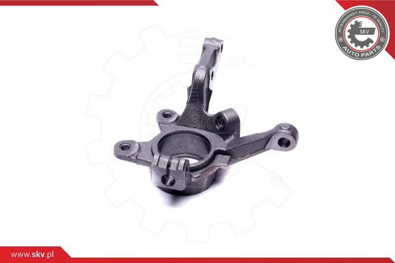 Steering Knuckle, wheel suspension