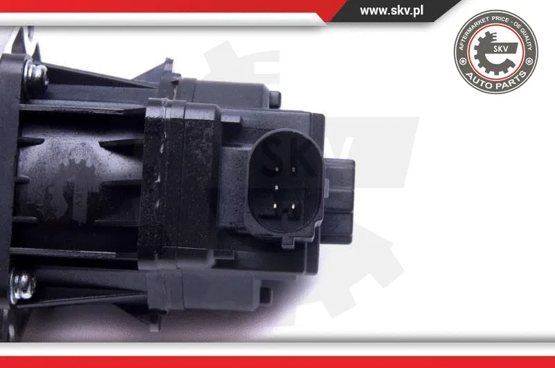 EGR Valve