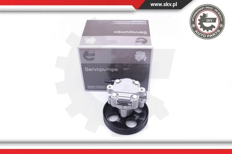 Hydraulic Pump, steering (10SKV254)
