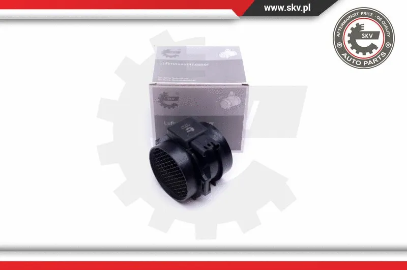 Mass Air Flow Sensor (07SKV170)