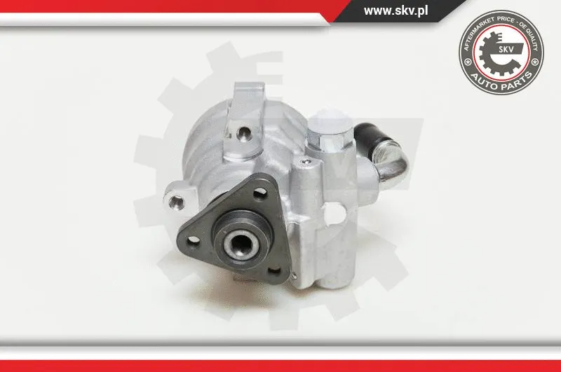 Hydraulic Pump, steering (10SKV061)