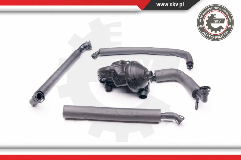 Repair Kit, crankcase ventilation (31SKV045)