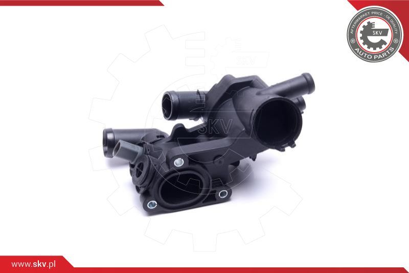 Thermostat, coolant