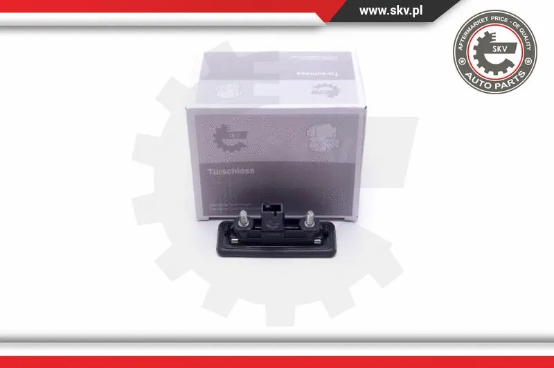 Exterior Door Handle (16SKV233)