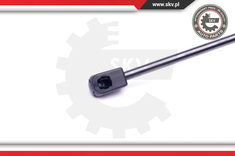 Gas Spring, boot/cargo area