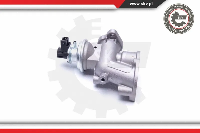 EGR Valve