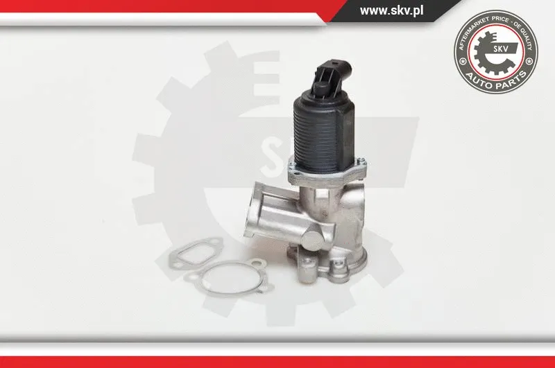 EGR Valve