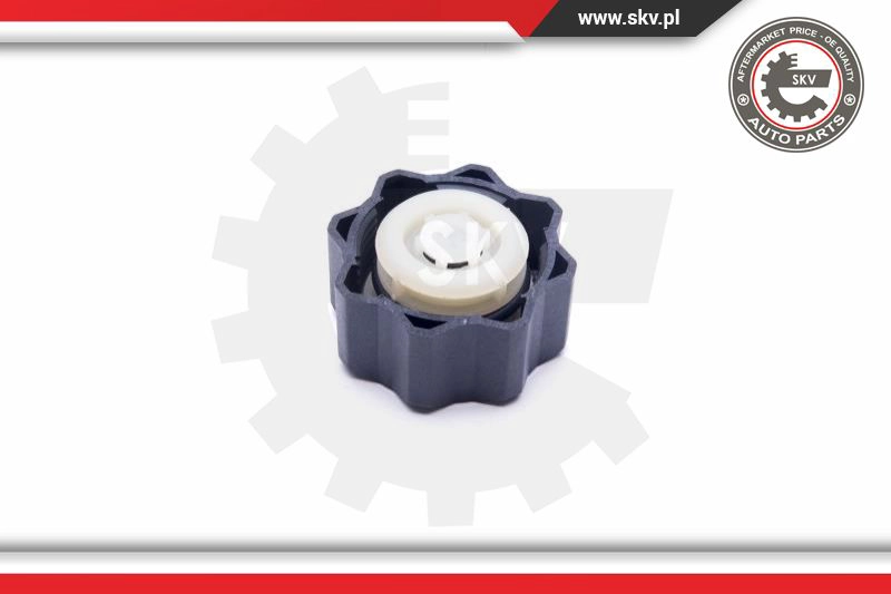 Cap, coolant tank
