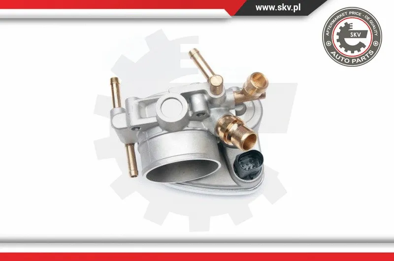 Throttle Body (12SKV049)
