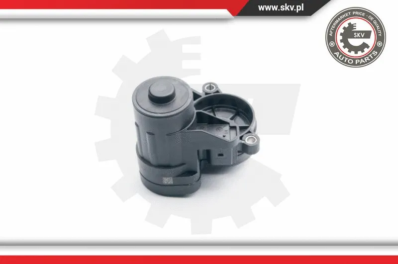 Control Element, parking brake caliper