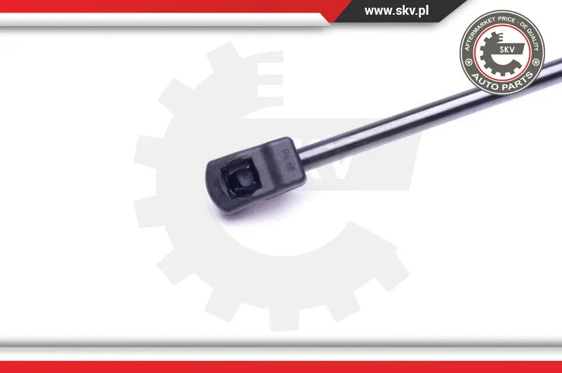 Gas Spring, boot/cargo area